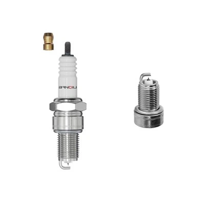 Platinum Spark BPR9EVX 5576